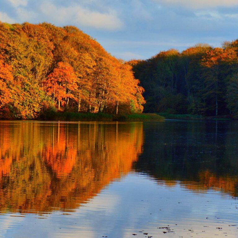 Denmark In October Unforgettable Nordic Holidays | Tailor-Made Travel Experts